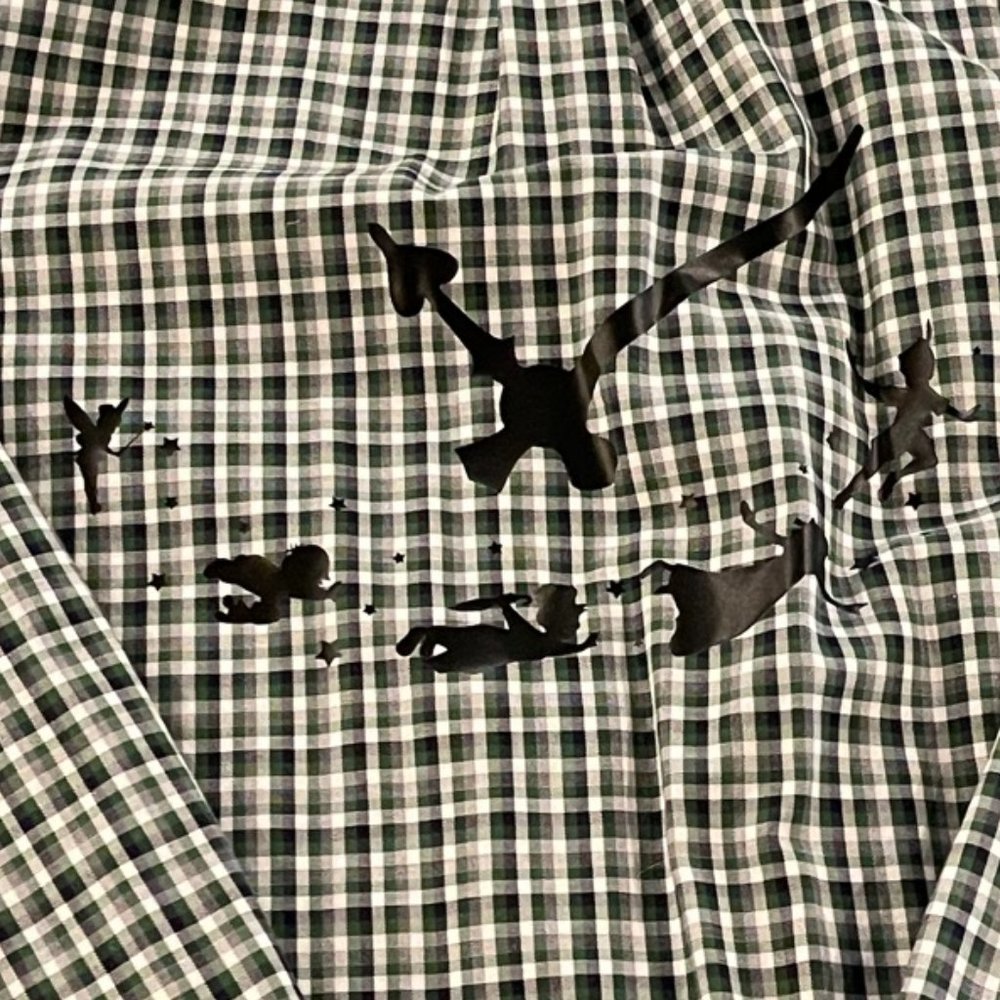 Custom Peter Pan Flannel